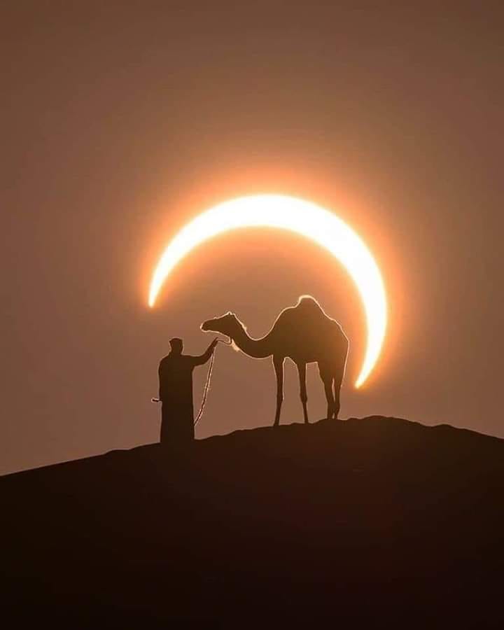Eclipse solar en el desierto