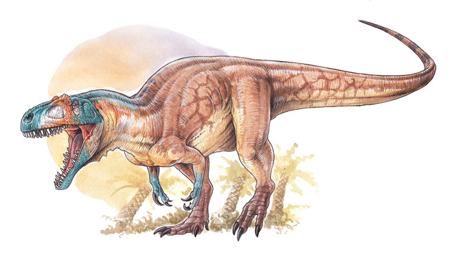 Hallan uno de los mas antiguos y completos dinosaurios carnivoros del Jurasico image 380