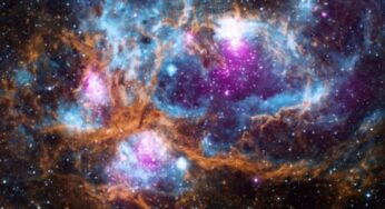 La evolución nos dice que es probable que seamos la única vida inteligente del universo