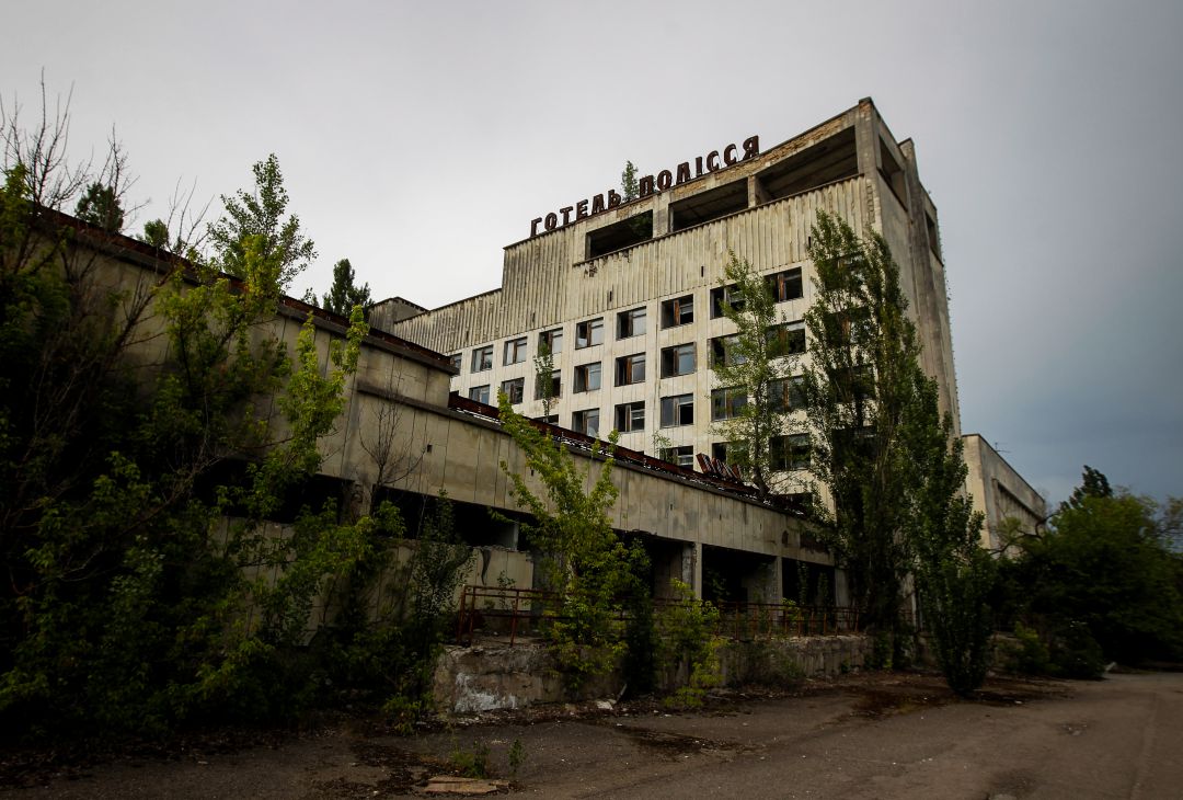 Chernóbil: ¿Por qué las plantas no mueren de cáncer?