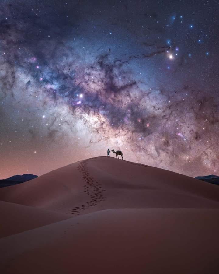 «Noche de los camellos»