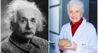 Marian Diamond, la extraordinaria científica que estudió el cerebro de Albert Einstein