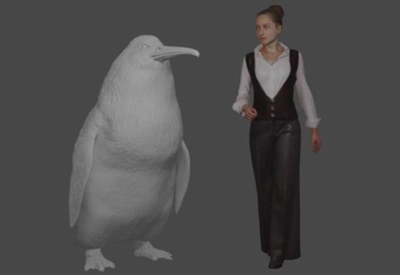 “Crossvallia waiparensis”, un pingüino de 1,60 m y 80 kg