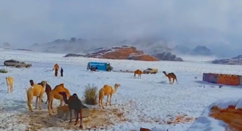 Inusual tormenta de nieve sobre el desierto de Arabia Saudita