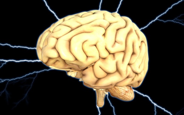 Esta area cerebral tiene una funcion especial en el estado de conciencia image 380