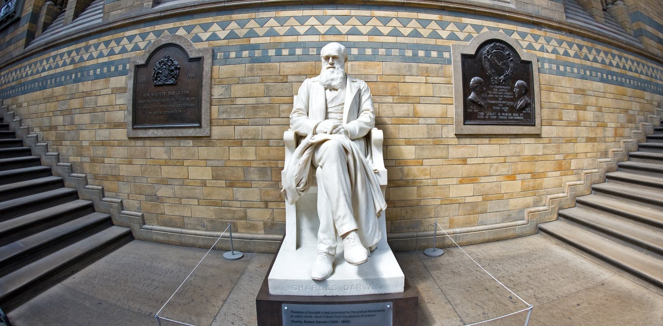 Darwin: el científico que nos bajó del pedestal