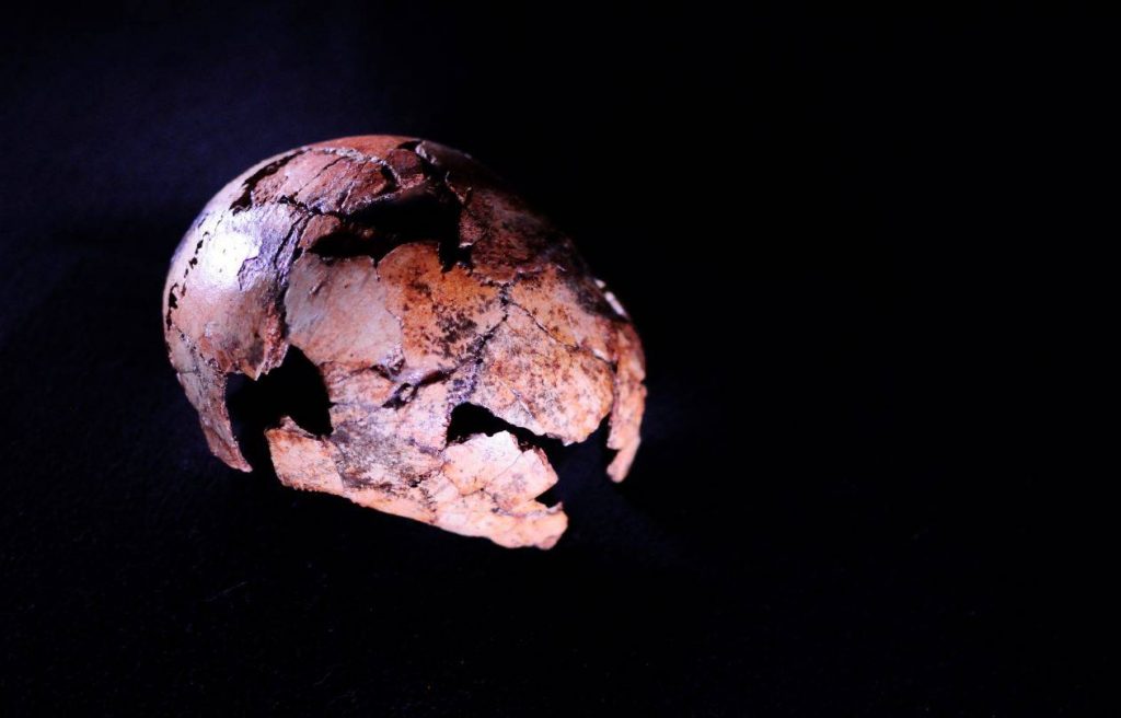 Hallados en Sudafrica los fosiles mas antiguos de Homo erectus