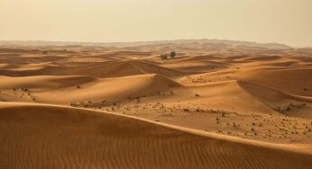 El lenguaje silencioso de las dunas, ¿sabías que se ‘comunican’?