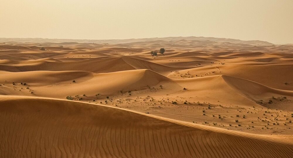 El lenguaje silencioso de las dunas, ¿sabías que se ‘comunican’?