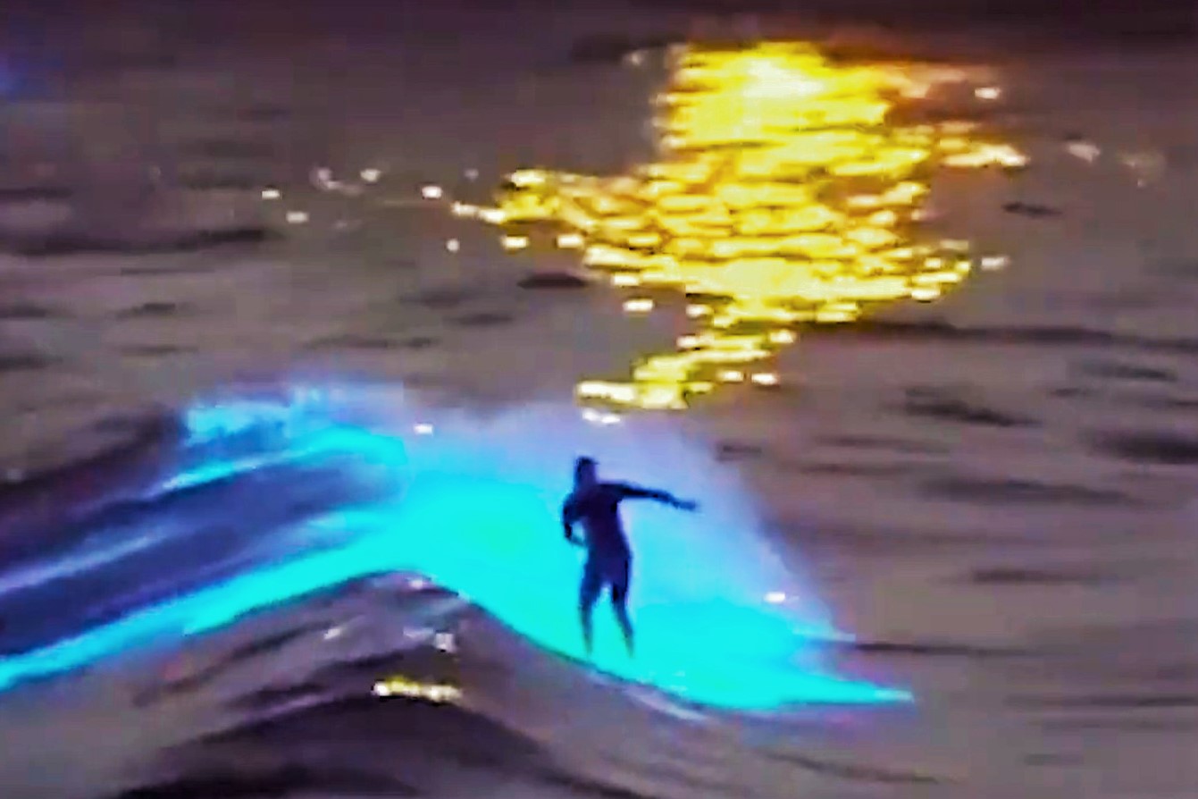 Surfea por las coloridas aguas bioluminiscentes de San Diego