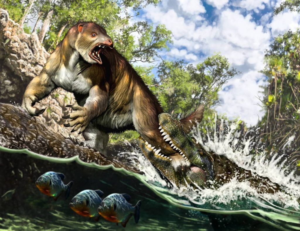 El caiman devoro al perezoso como un fosil olvidado resolvio un crimen de hace 13 millones de anos