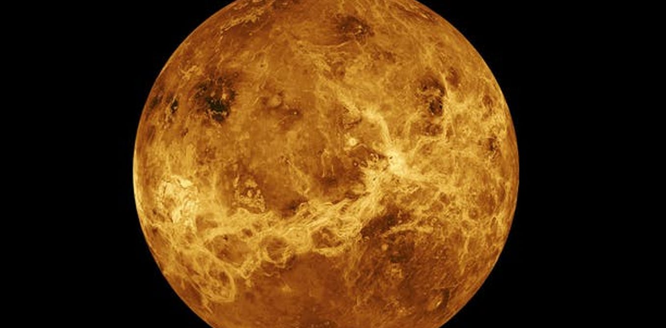 ¿De verdad Venus podría albergar vida?