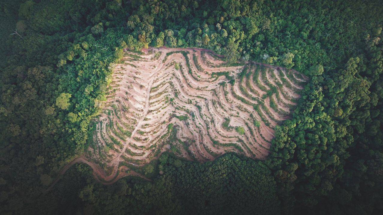 Cerca de 850.000 virus desconocidos en la naturaleza podrían infectar a las personas