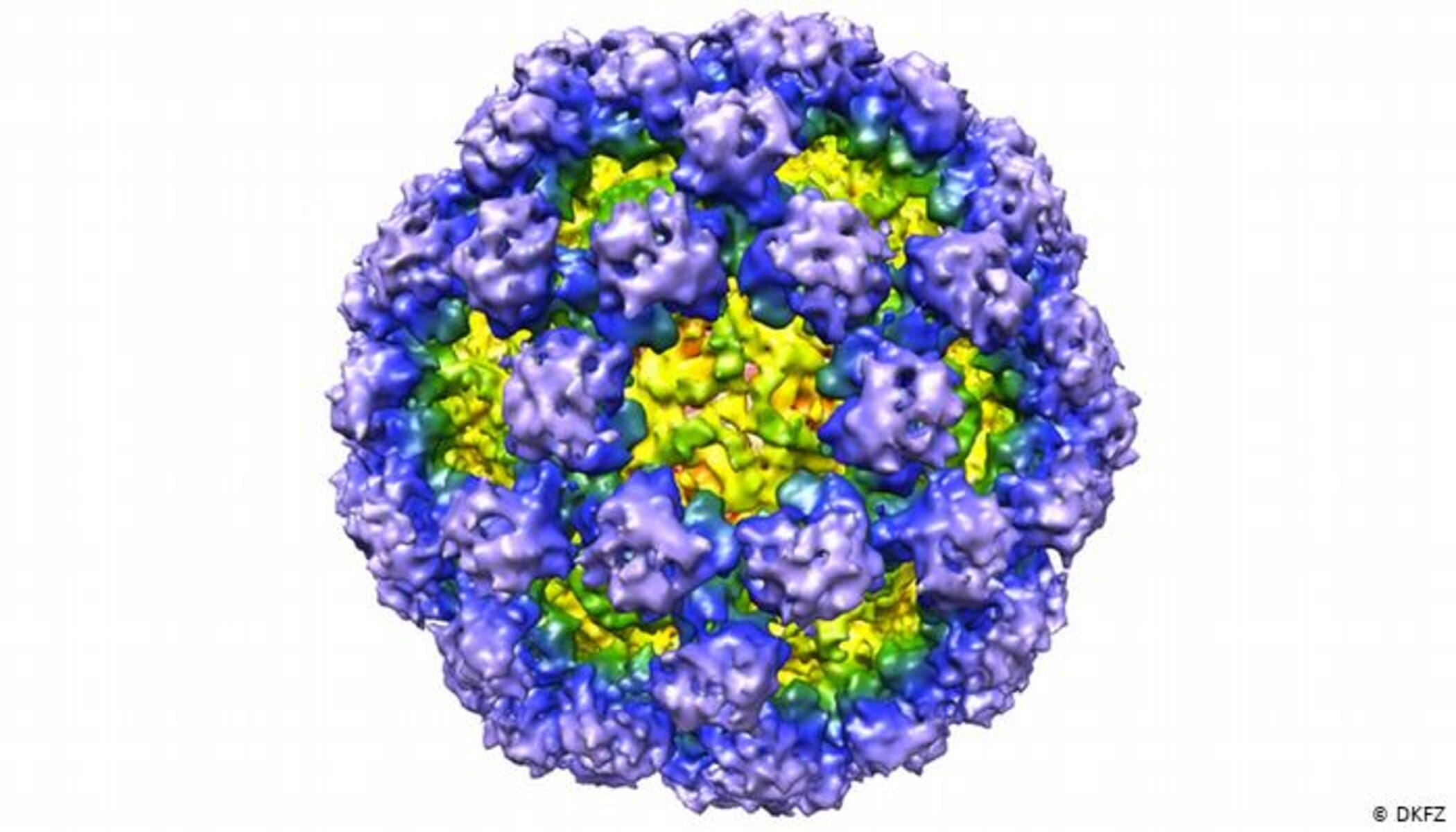 Norovirus: el nuevo brote vírico que sale de la caja de pandora