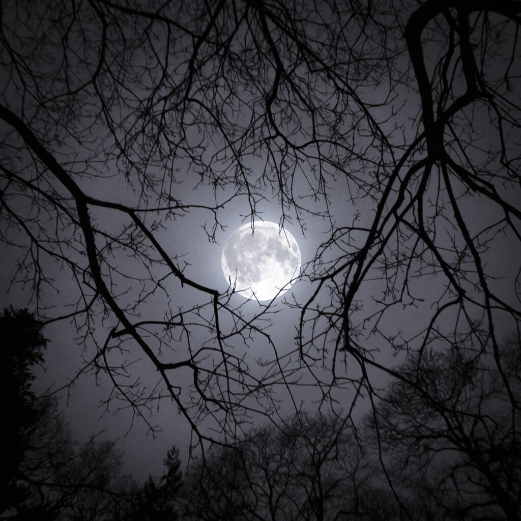 OM 43936 1 Misty Winter Moon © Rob Mogford