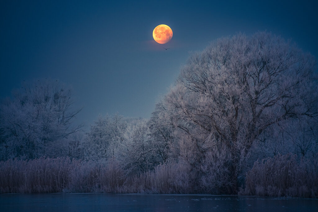 OM 84200 21 The Penumbral Lunar Eclipse and the New Born Rime © Hailong Qiu