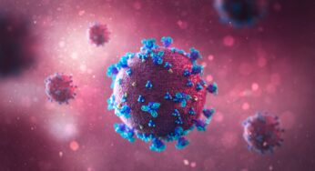 ¿Qué sabemos sobre la nueva variante del coronavirus?