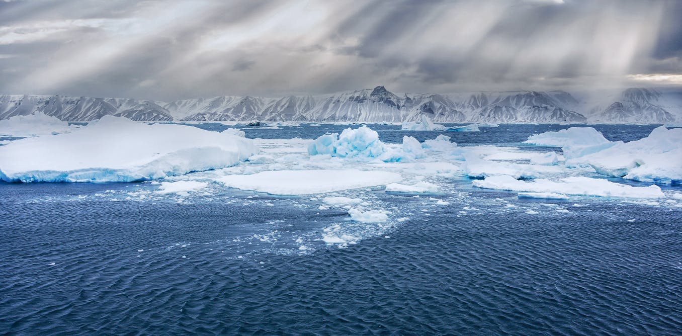 Un océano singular: la riqueza ecológica del Antártico y su importancia para el clima global