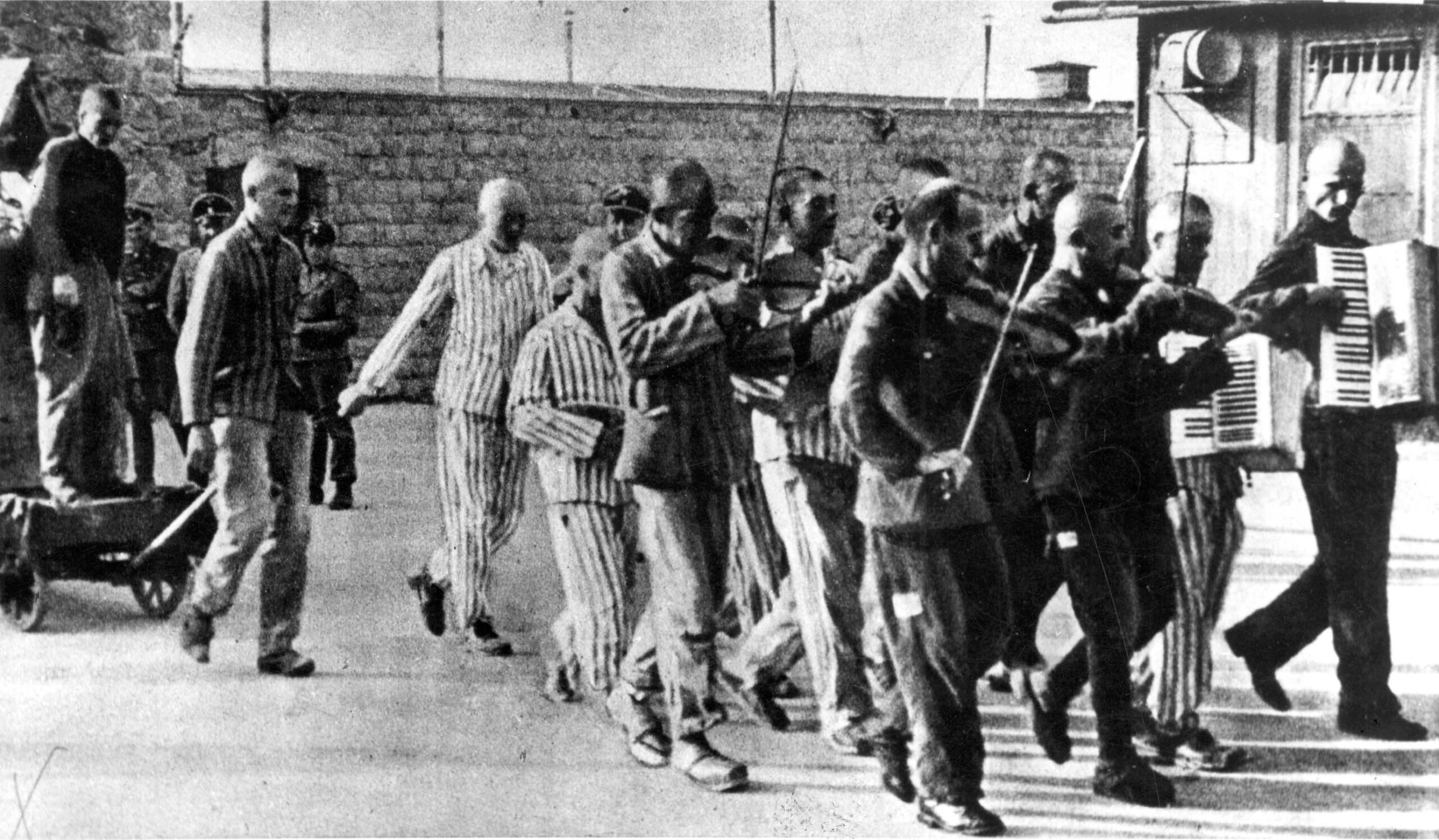 Clase social y supervivencia: lo que nos enseñan los prisioneros españoles de Mauthausen