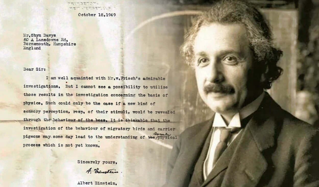 Descubren una carta perdida de Einstein en la que predijo los super sentidos de los animales