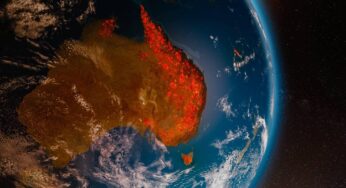Las cenizas de incendios forestales en Australia fertilizaron el océano Pacífico