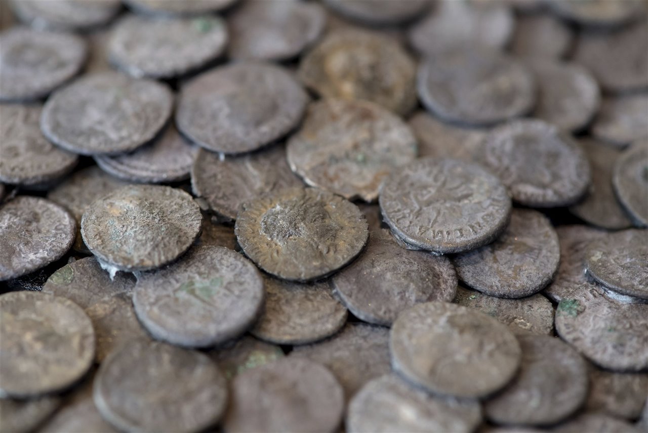 «Un hallazgo excepcional»: un tejón destapa en Asturias un tesoro grecorromano de más de 200 monedas