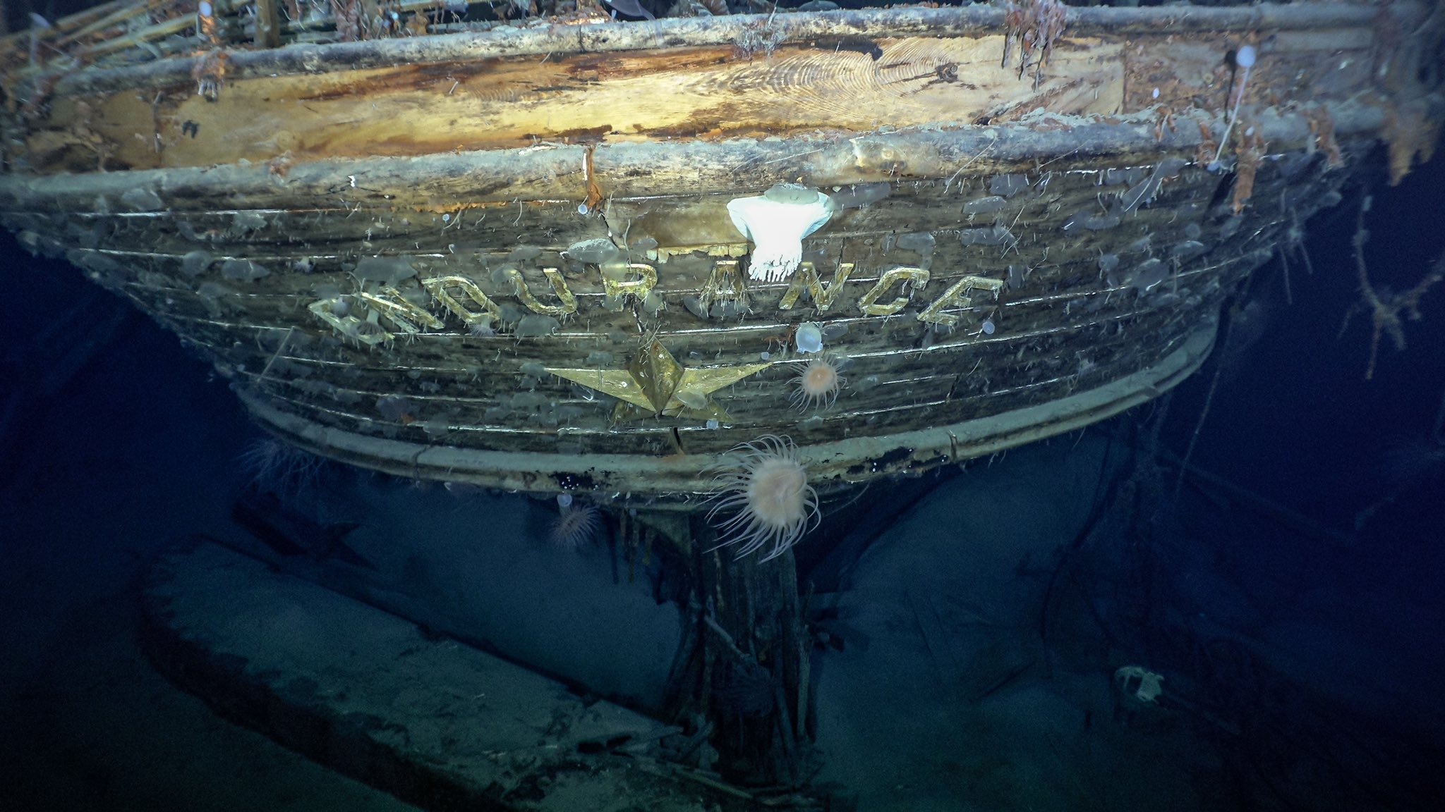 Descubrimiento en la Ántartida: aparece el Endurance, el mítico barco hundido de Shackleton