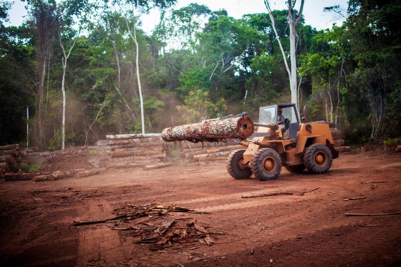 La selva amazónica se acerca a un punto de inflexión crítico