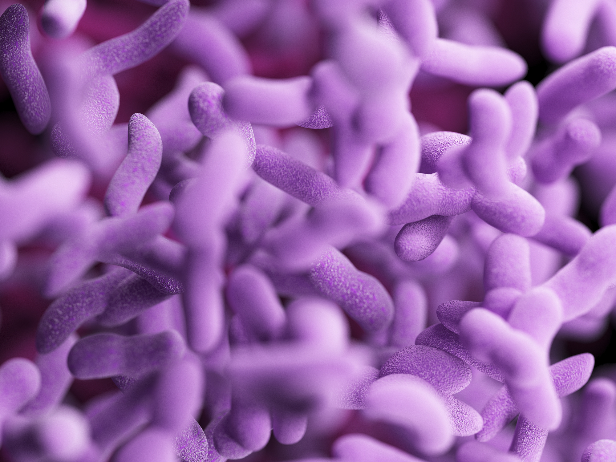 La ciencia explica por qué la penicilina hace que estallen las células bacterianas
