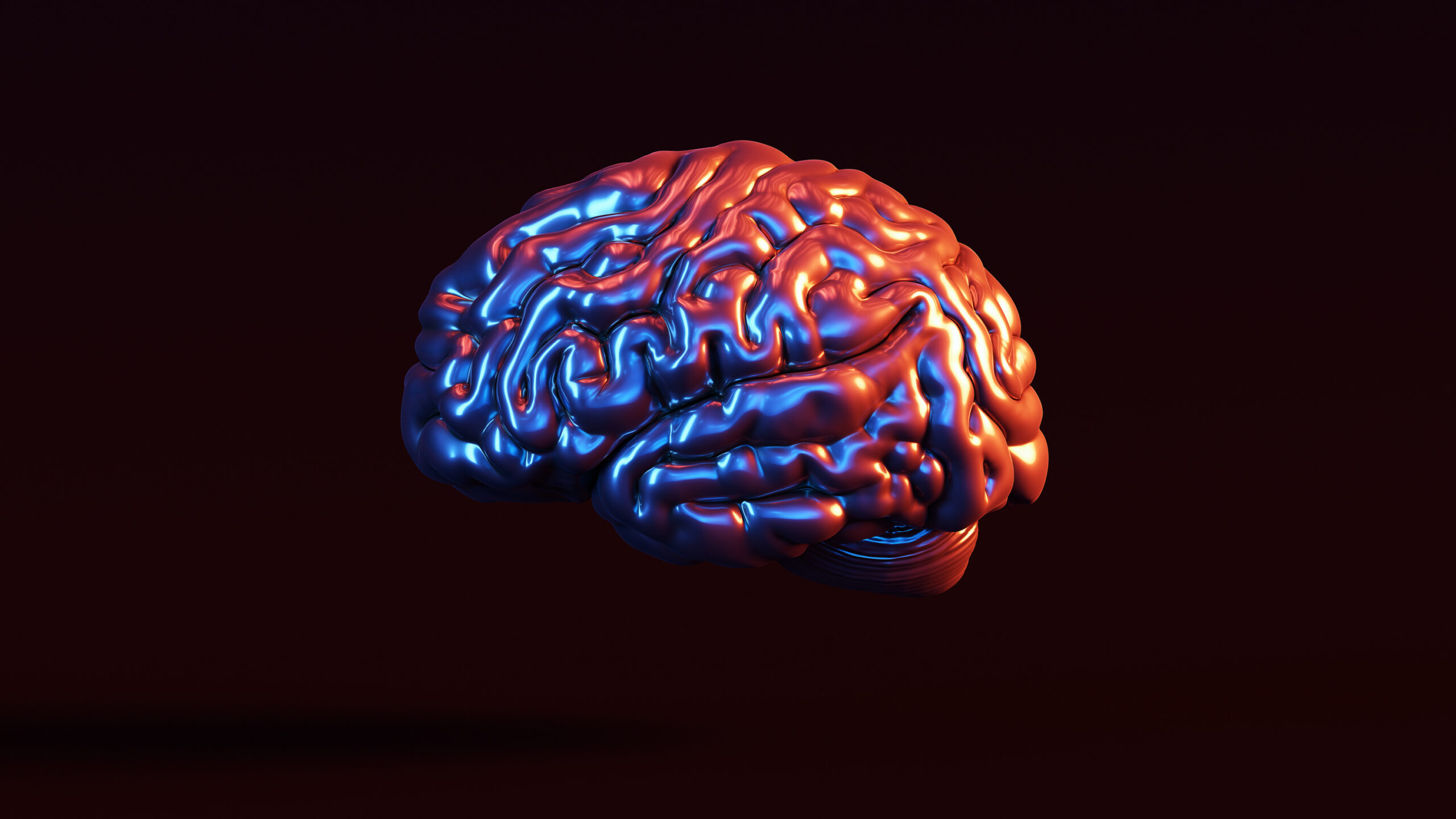 El sorprendente nuevo dato del cerebro humano: se calienta a medida que trabaja