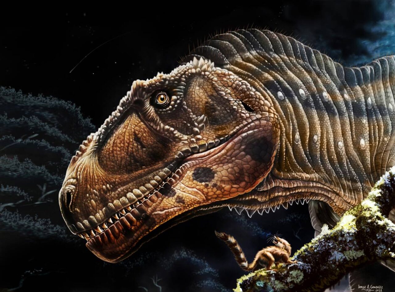 Asi es Meraxes gigas el gran devorador de dinosaurios con nombre de dragon