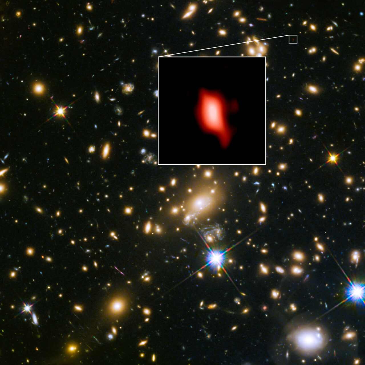 Hubble and ALMA image of MACS J1149.52223
