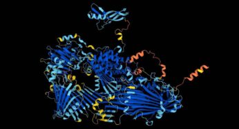 Una IA de Google predice la estructura de casi todas las proteínas conocidas por la ciencia