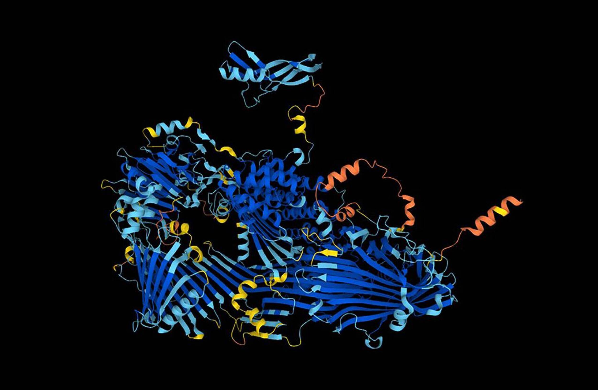 Una IA de Google predice la estructura de casi todas las proteínas conocidas por la ciencia