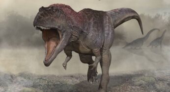 Descubren un dinosaurio gigante: el mayor devorador carnívoro hasta el momento