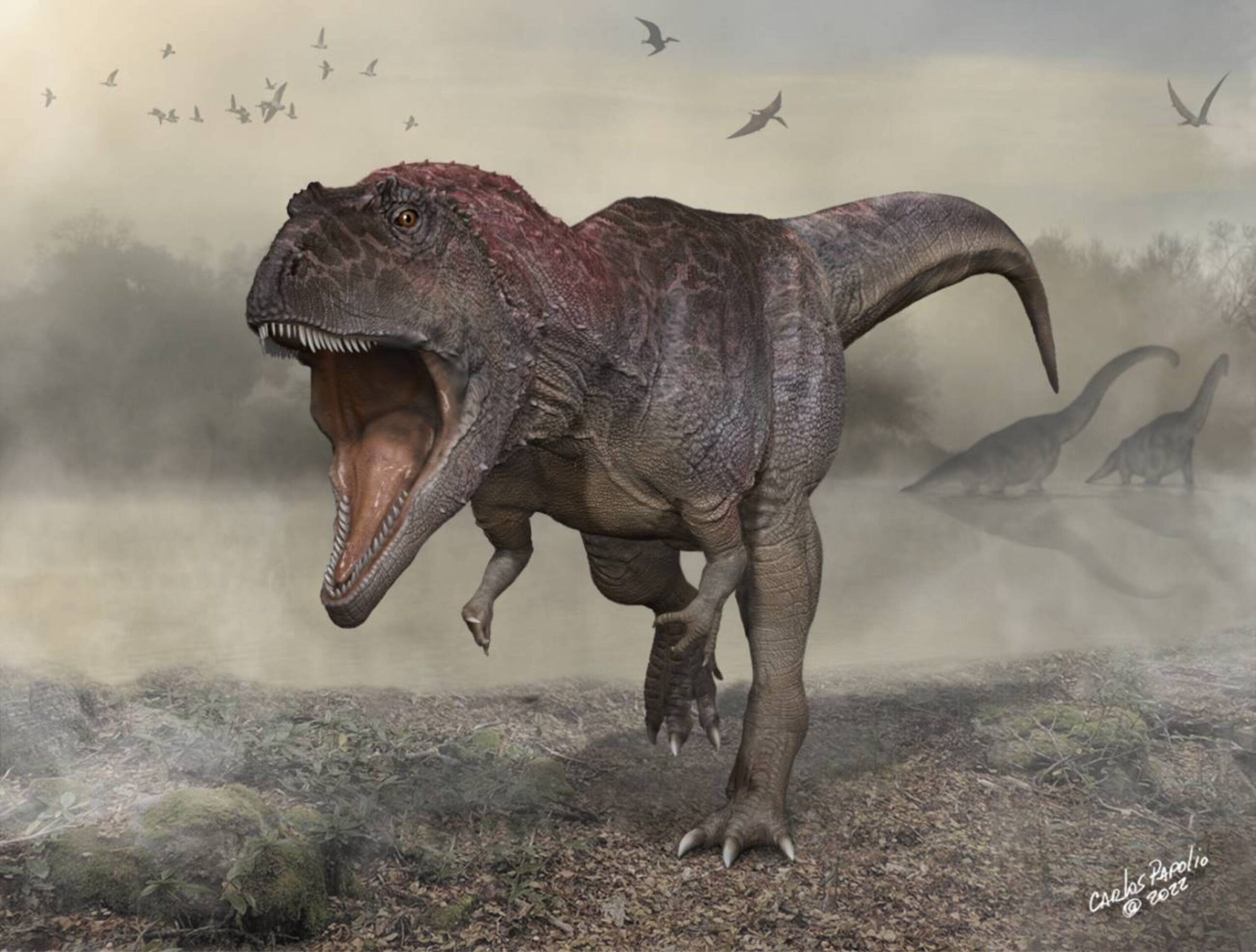 Descubren un dinosaurio gigante: el mayor devorador carnívoro hasta el momento