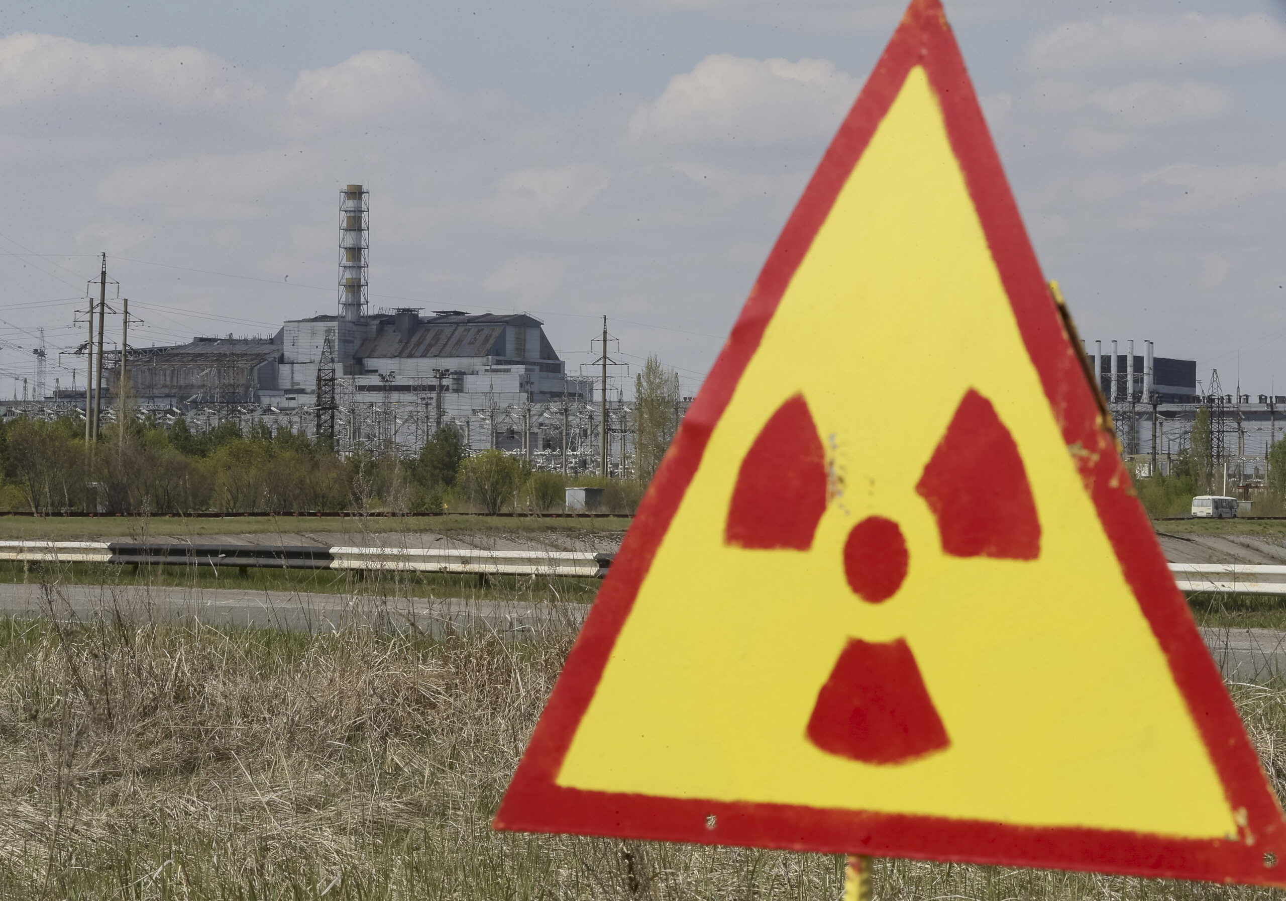 ¿Por qué hay ranas negras en Chernóbil?
