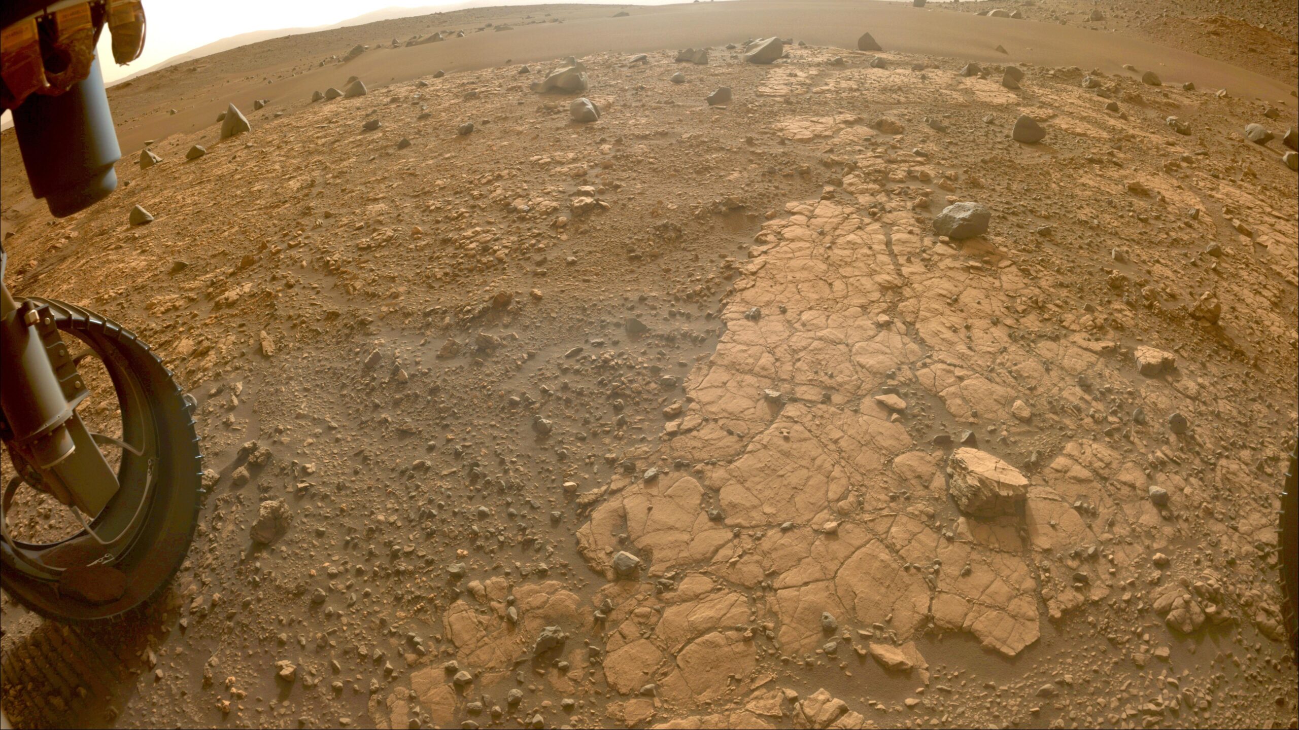 Vida en Marte: nuevos datos de Perseverance confirman su habitabilidad