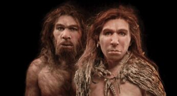 Retrato de familia: la buena vida de los neandertales