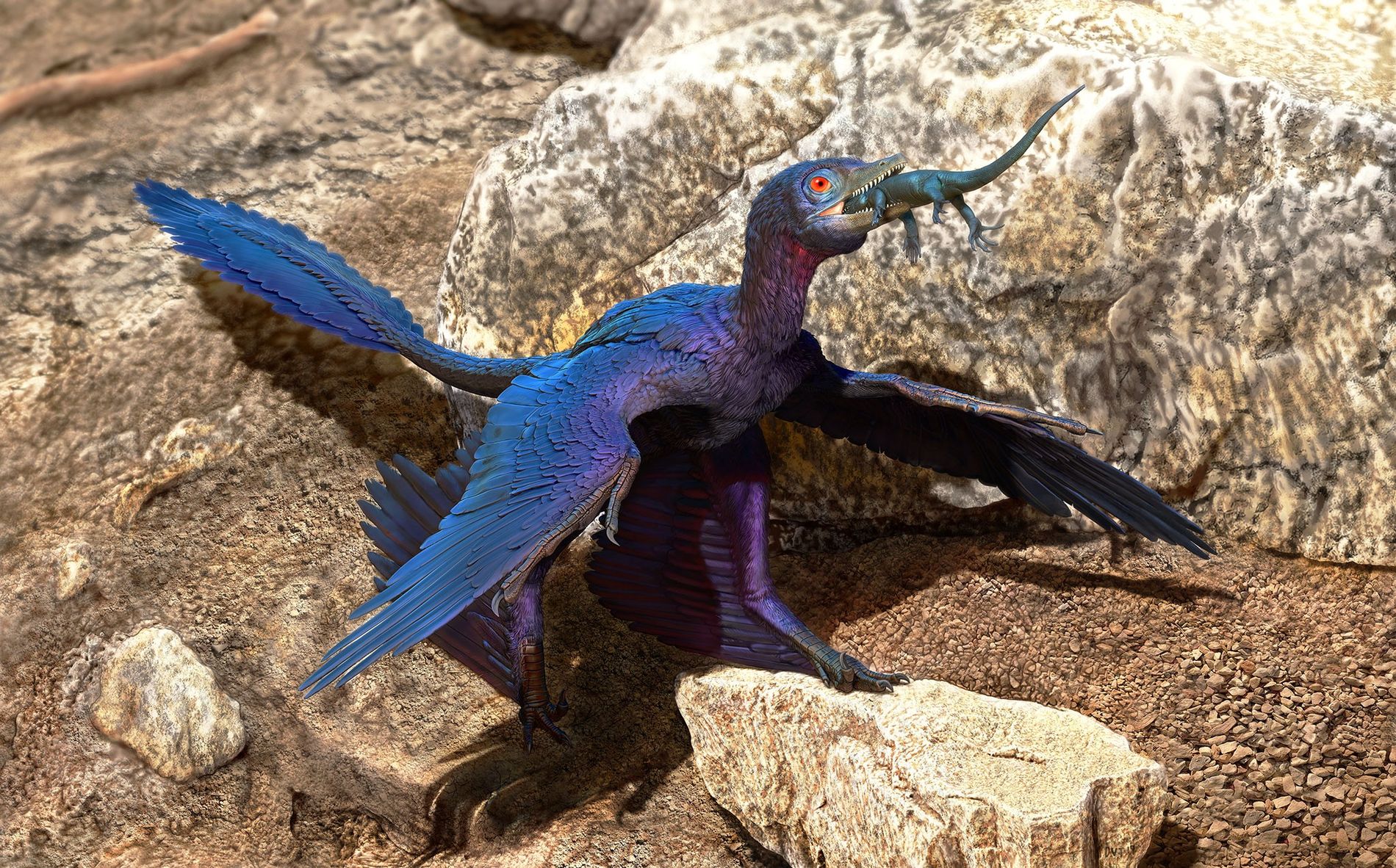 03 lizardmeal microraptor illustration doyle trankina