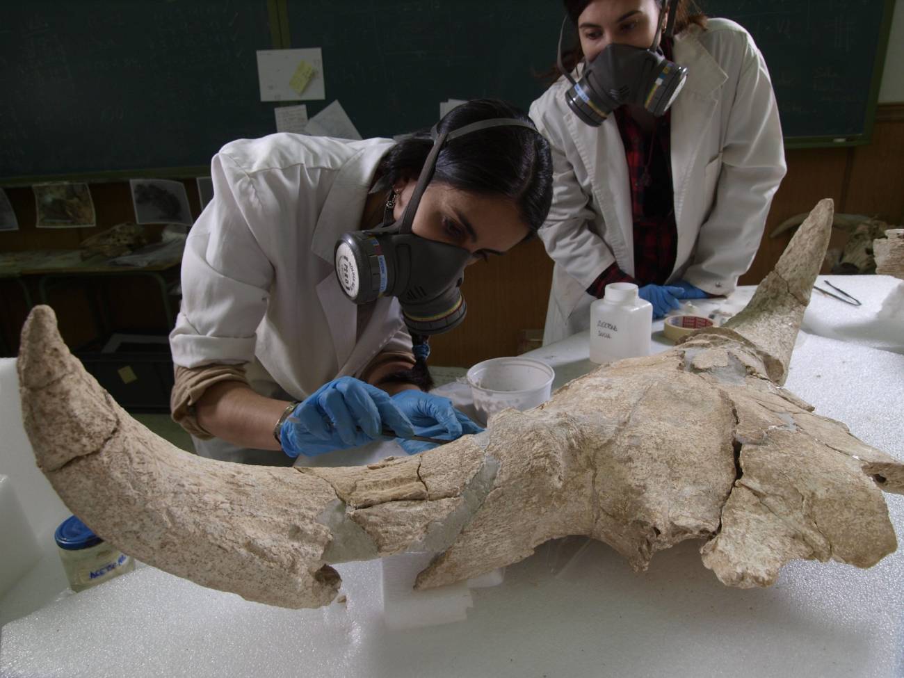 Los restos de un santuario de caza confirman que los neandertales tenian capacidad simbolica