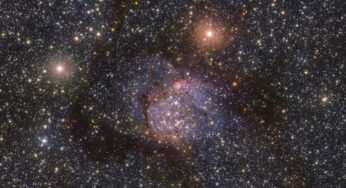 Una serpiente en el cielo: nueva imagen de la nebulosa Sh2-54