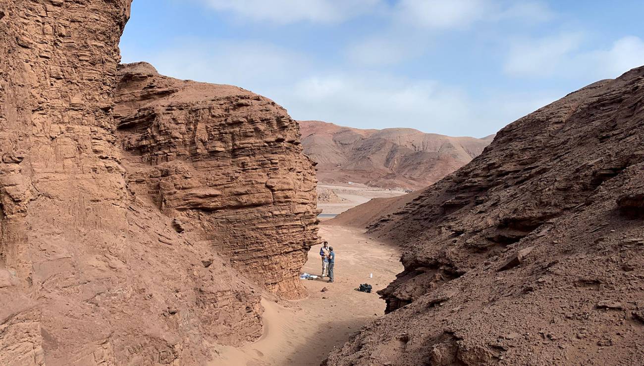 Un estudio en Atacama sugiere que encontrar signos de vida en Marte sera mas dificil de lo pensado