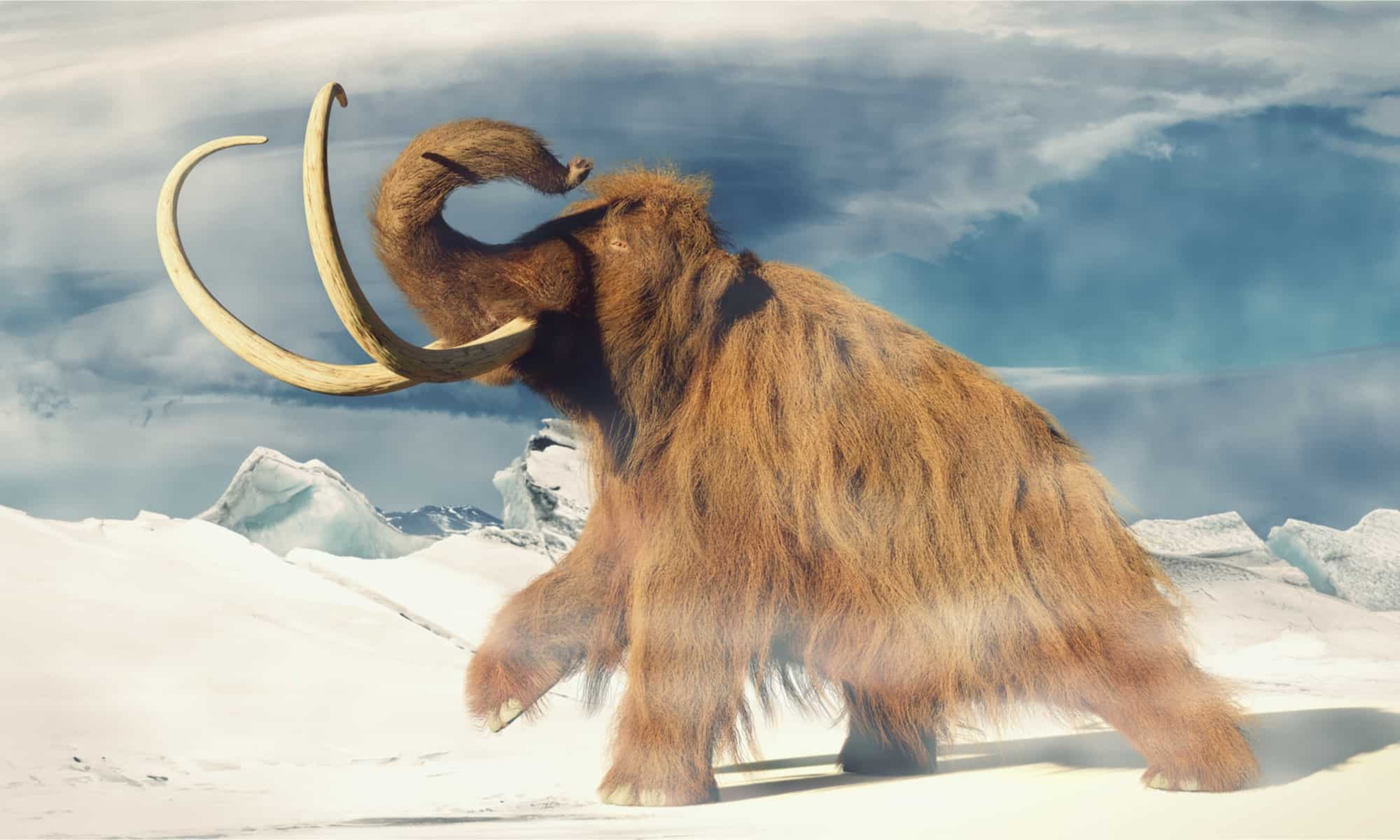 Descubren como los neandertales eran capaces de cazar estos animales gigantes