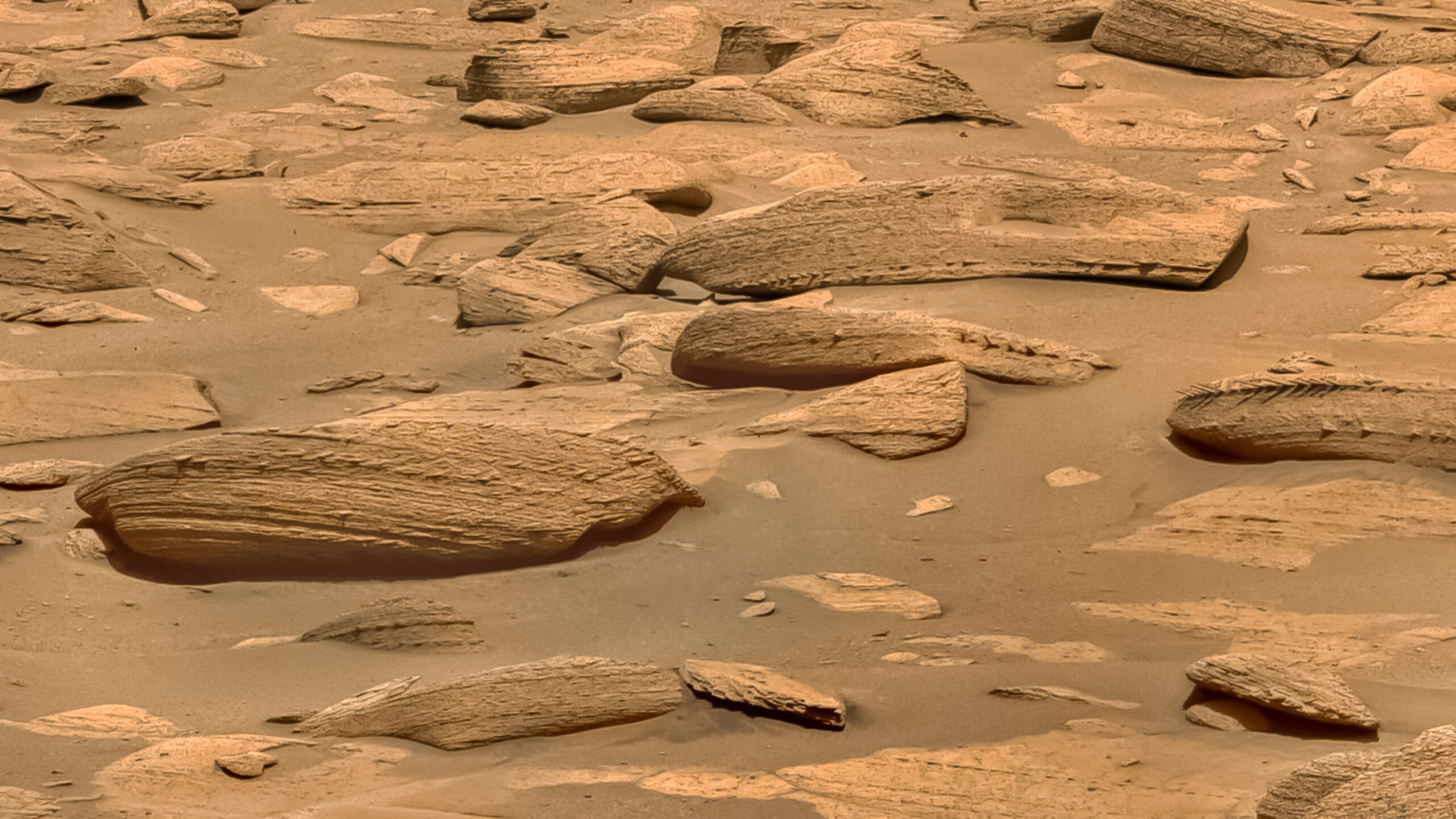 El rover Curiosity de la NASA descubre la roca más extraña de Marte