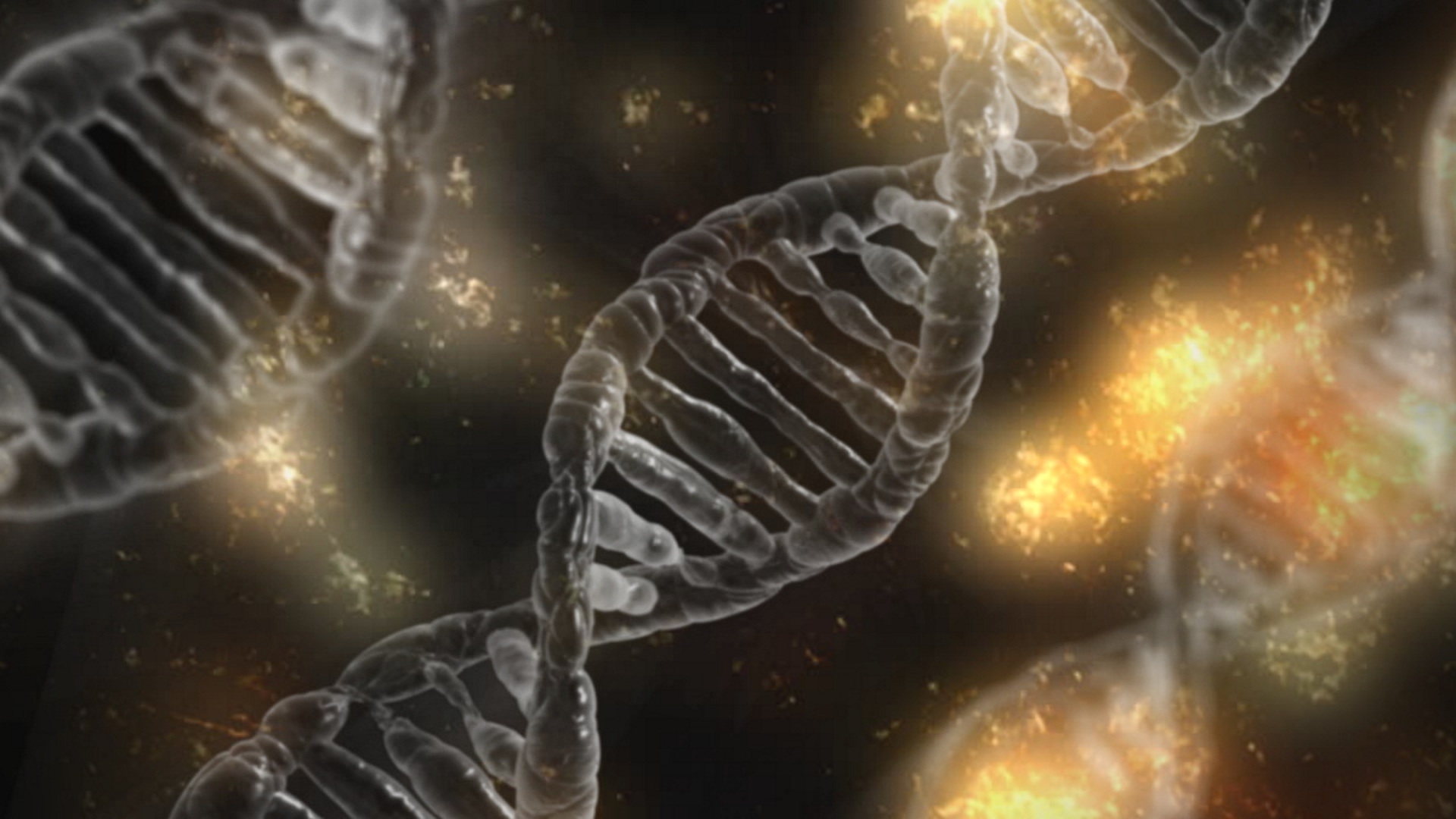 Los humanos modernos llevamos ADN de unos extraños parientes