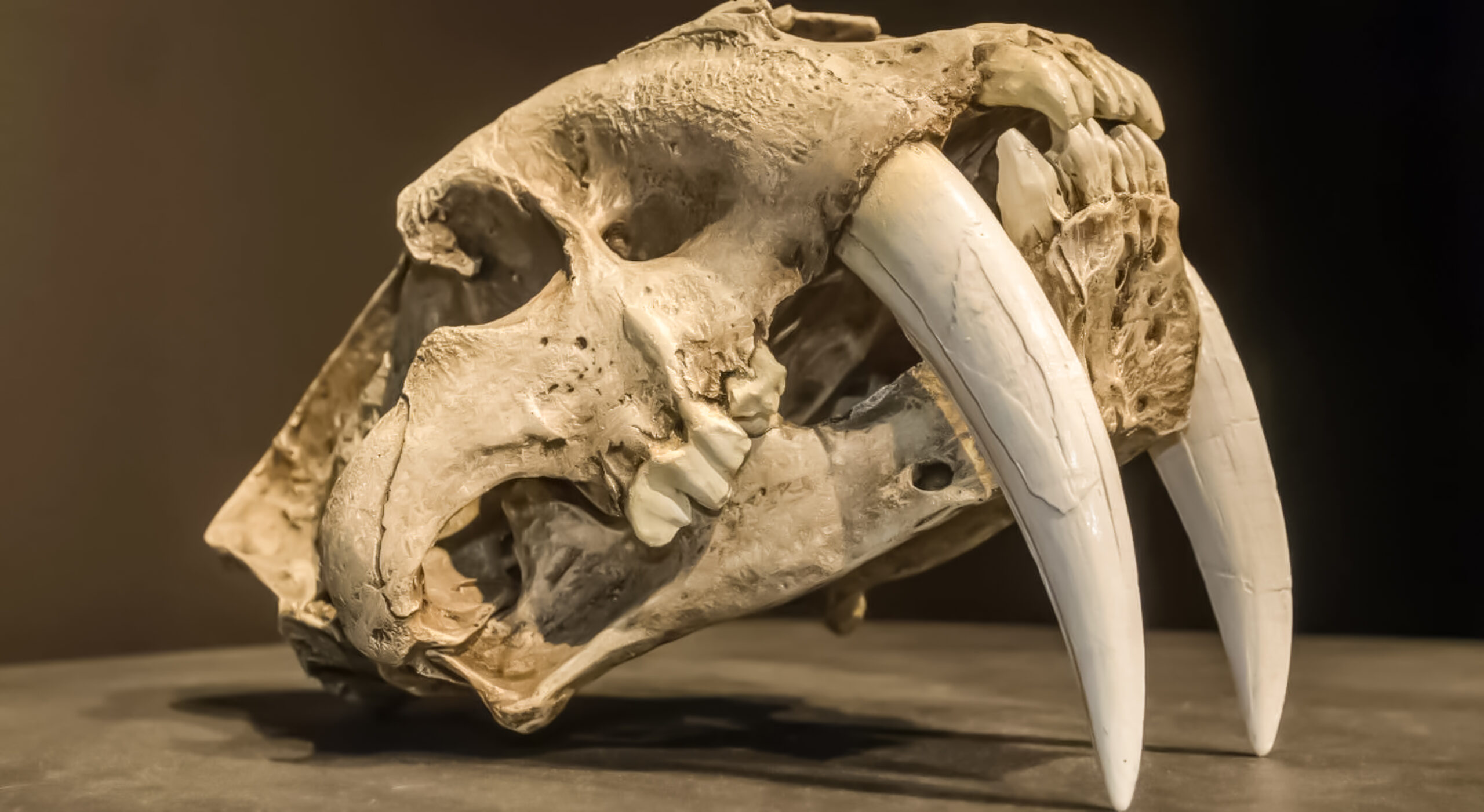 El animal prehistórico que recorrió miles de km para evitar su extinción