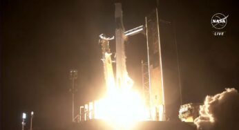 Despega con éxito la Crew 7 de SpaceX con astronautas a la Estación Espacial Internacional