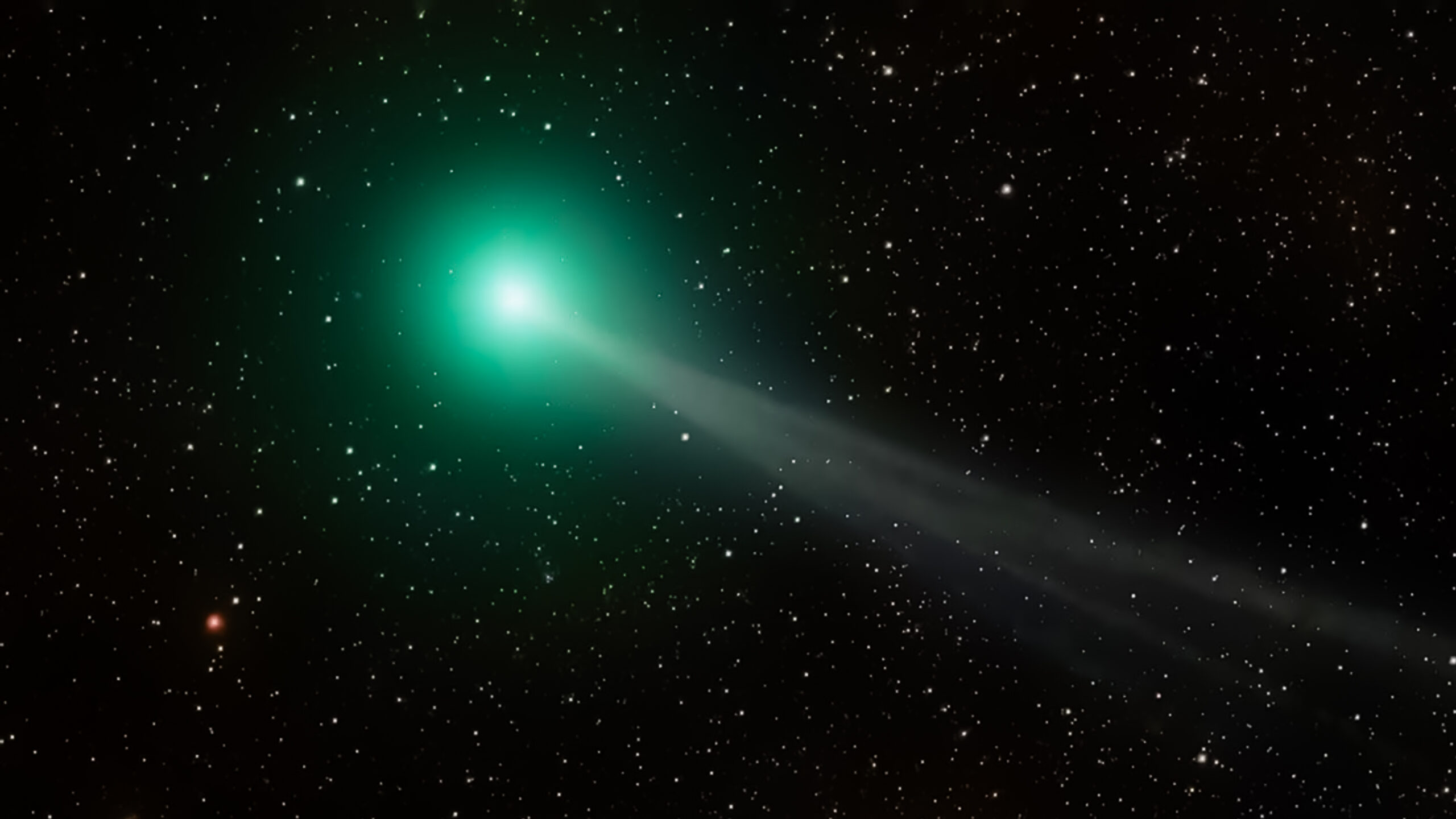 Nuevo cometa se acerca: cómo y cuándo ver el espectacular rastro verde