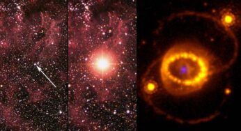 Webb hace un descubrimiento insólito en los restos de la supernova más estudiada de la historia